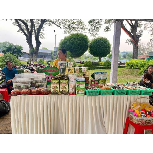 Khám phá các gian hàng đầy sáng tạo tại ngày Hội